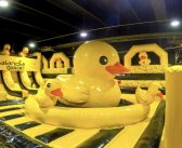 PATO, de ícono pop al CEO más divertido