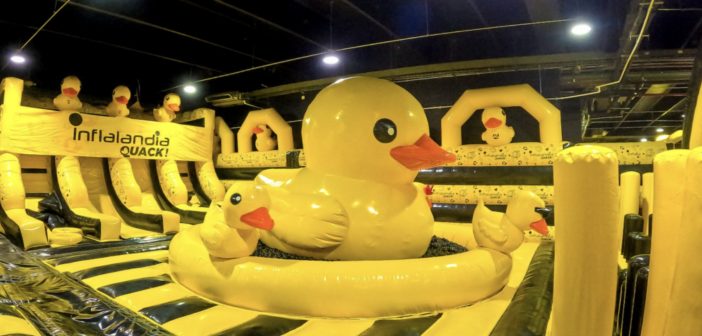 PATO, de ícono pop al CEO más divertido