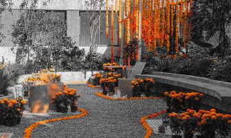 Open House Día de Muertos CDMX