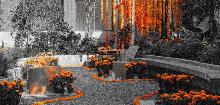 Open House Día de Muertos regresa a CDMX