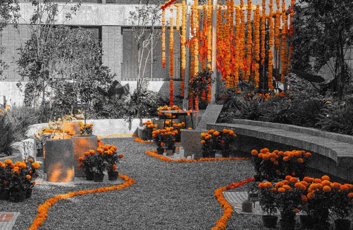 Open House Día de Muertos CDMX