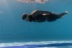 Apnea