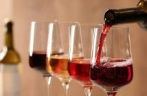 Vino Mundo