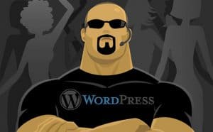 10_ways_to_prevent_your_wordpress_website_from_being_hacked_2