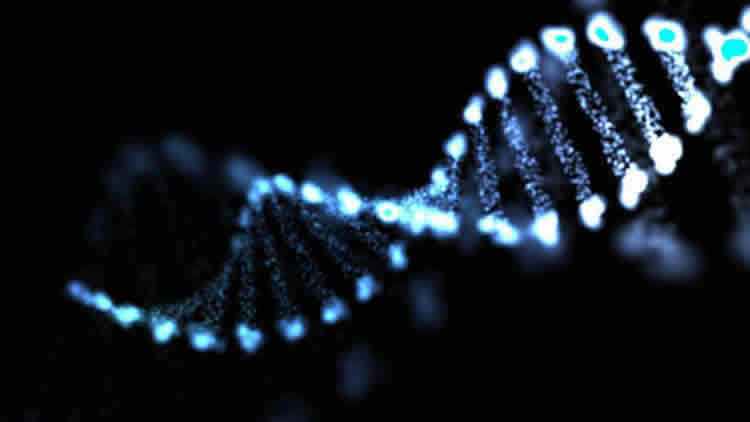 epilepsy-genes-neurosceincenews-public
