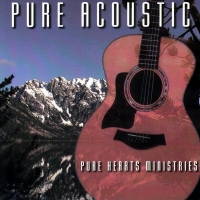 Pure Acoustic - George Sabolick