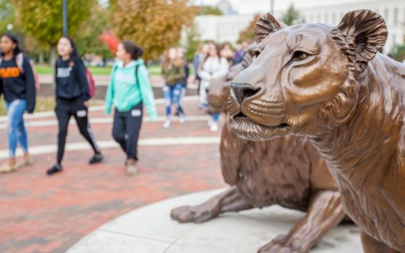 Widener University culture image