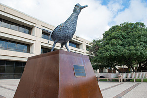 Profile photo of Marabelle Danticat