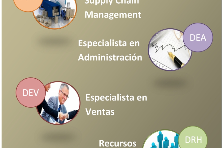Services (in Spanish)