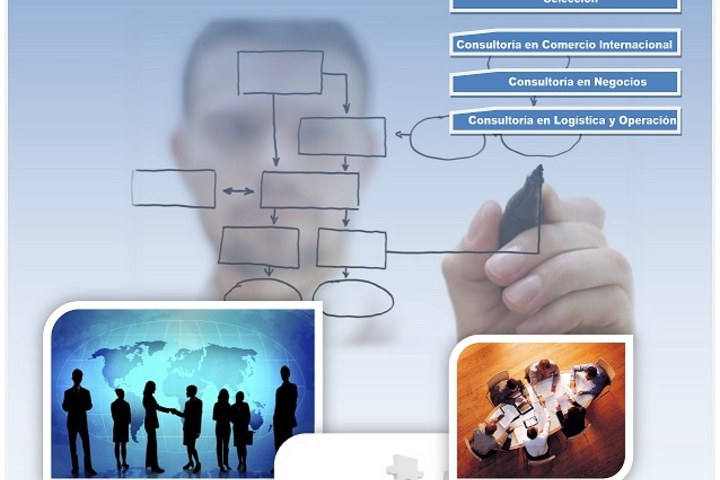 Consulting