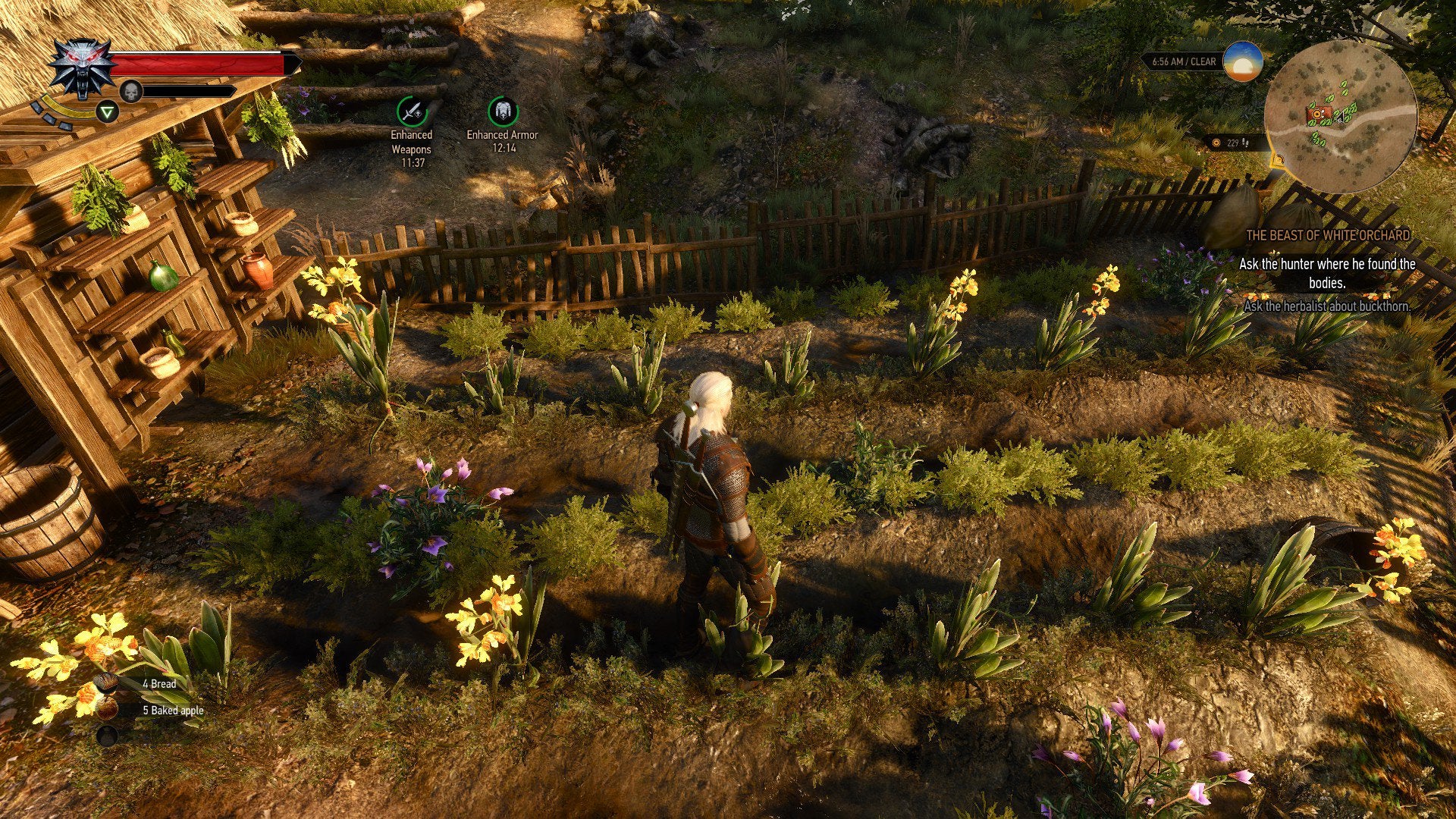 Como Conseguir Comida En The Witcher 3
