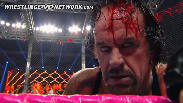 WWE Best PPV Matches 2015 DVD Review - The Undertaker, Hell in a Cell 2015