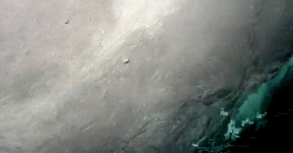 WWF cameras record anything that passes by, not just tigers. In this case, a leopard peering into the camera.