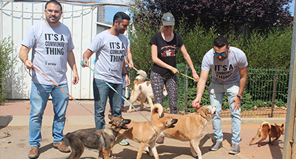 Rehovot Dog Shelter