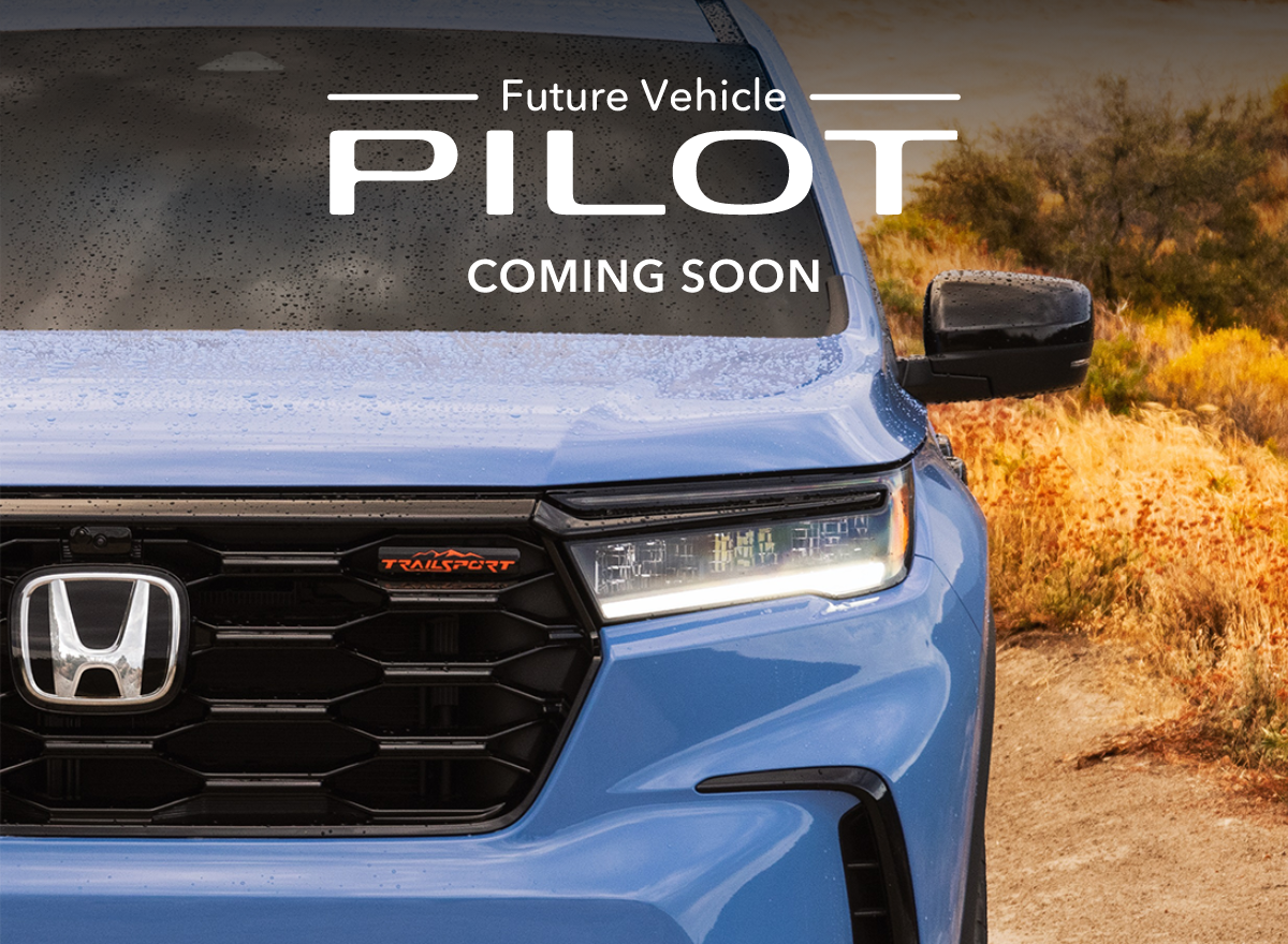 2022 Pilot