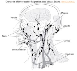 Oral Cancer Screening