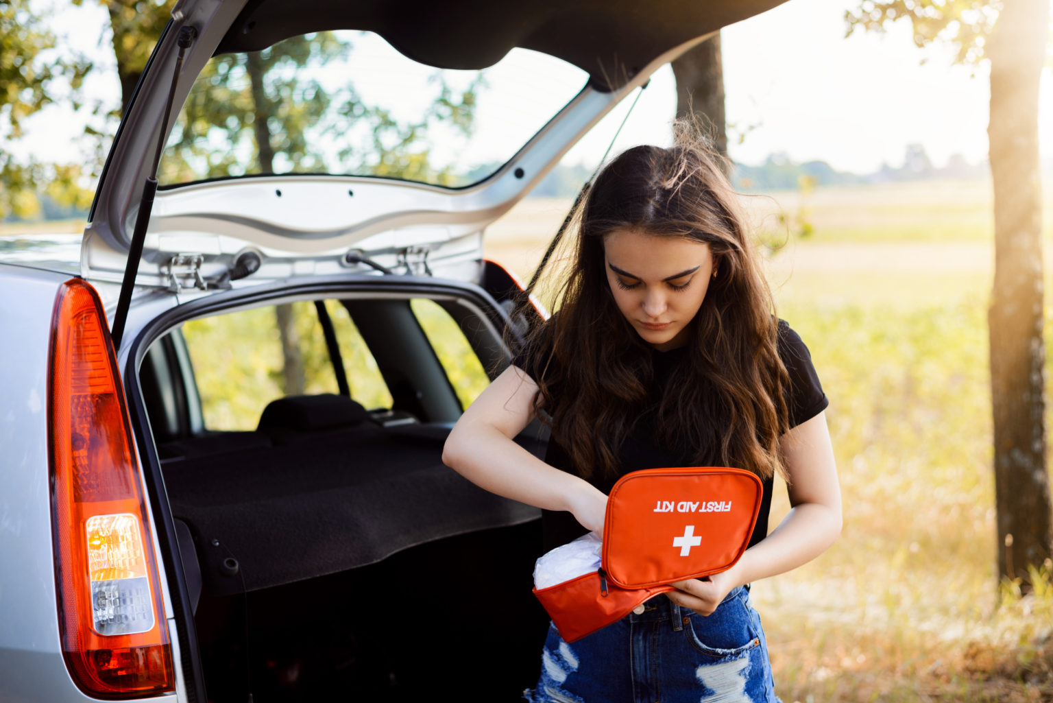 10 Best Vehicle First Aid Kits [Buying Guide] Autowise