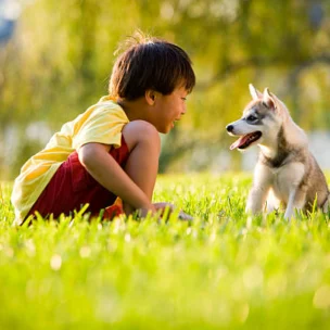 A young boy in a yellow shirt sits on grass facing a playful husky puppy outdoors, both appearing happy and engaged with each other.