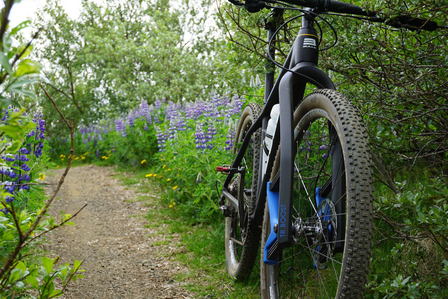 Lauf redesigns uppers for new Trail Racer Boost leaf spring suspension