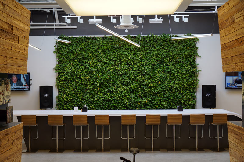 cannondale sports basement