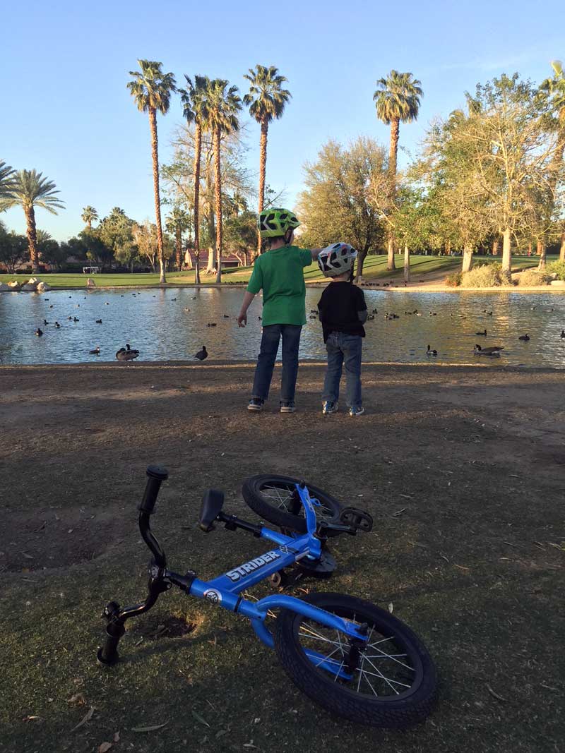 balance bike to pedal bike 