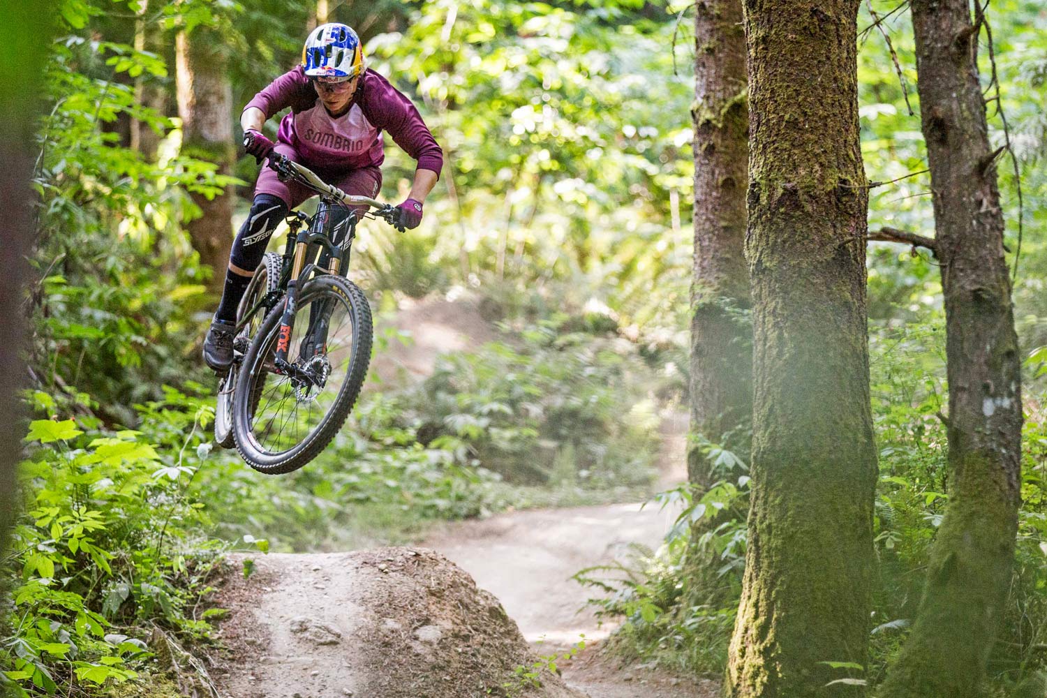 2019 Norco Fluid FS, an all-new 