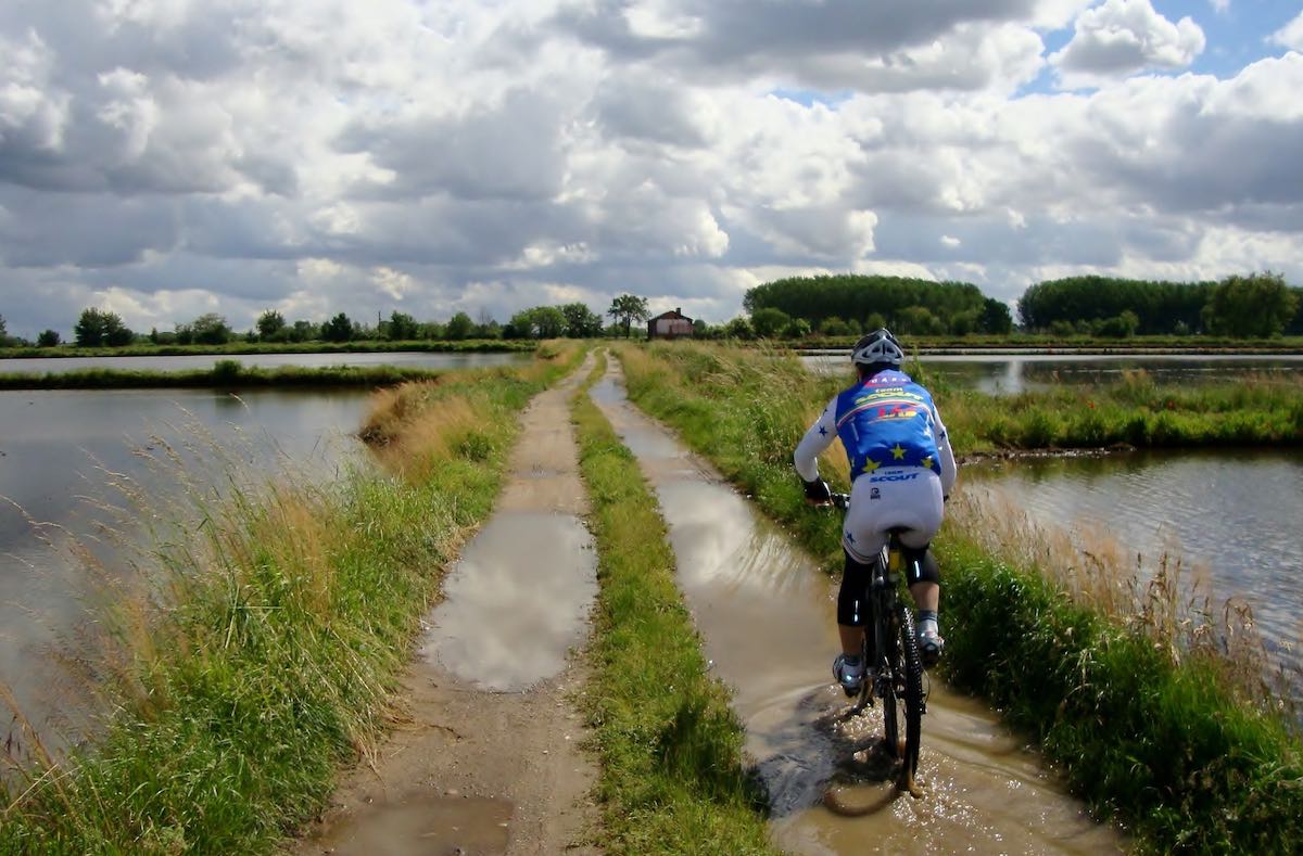 Bikerumor Pic Of The Day: Cycling through the rice fields in northern ...