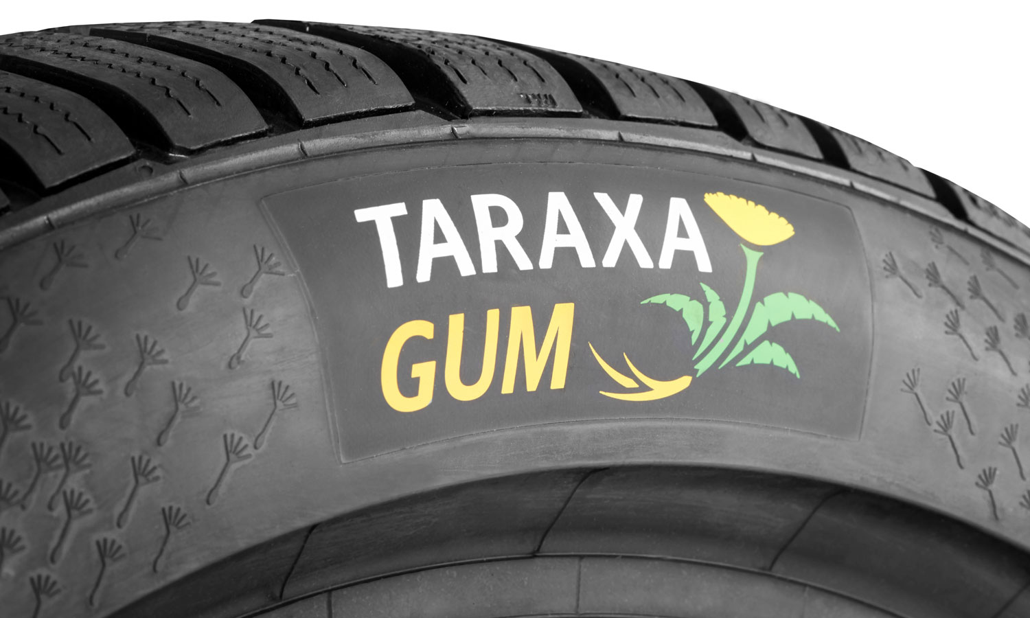 Continental bringing sustainable dandelion rubber Taraxagum tires to