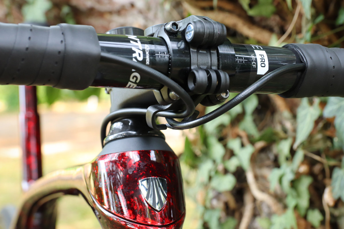 trek domane mudguards