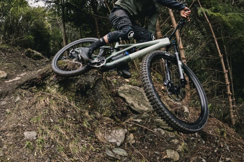 2021 Specialized Stumpjumper 29er 