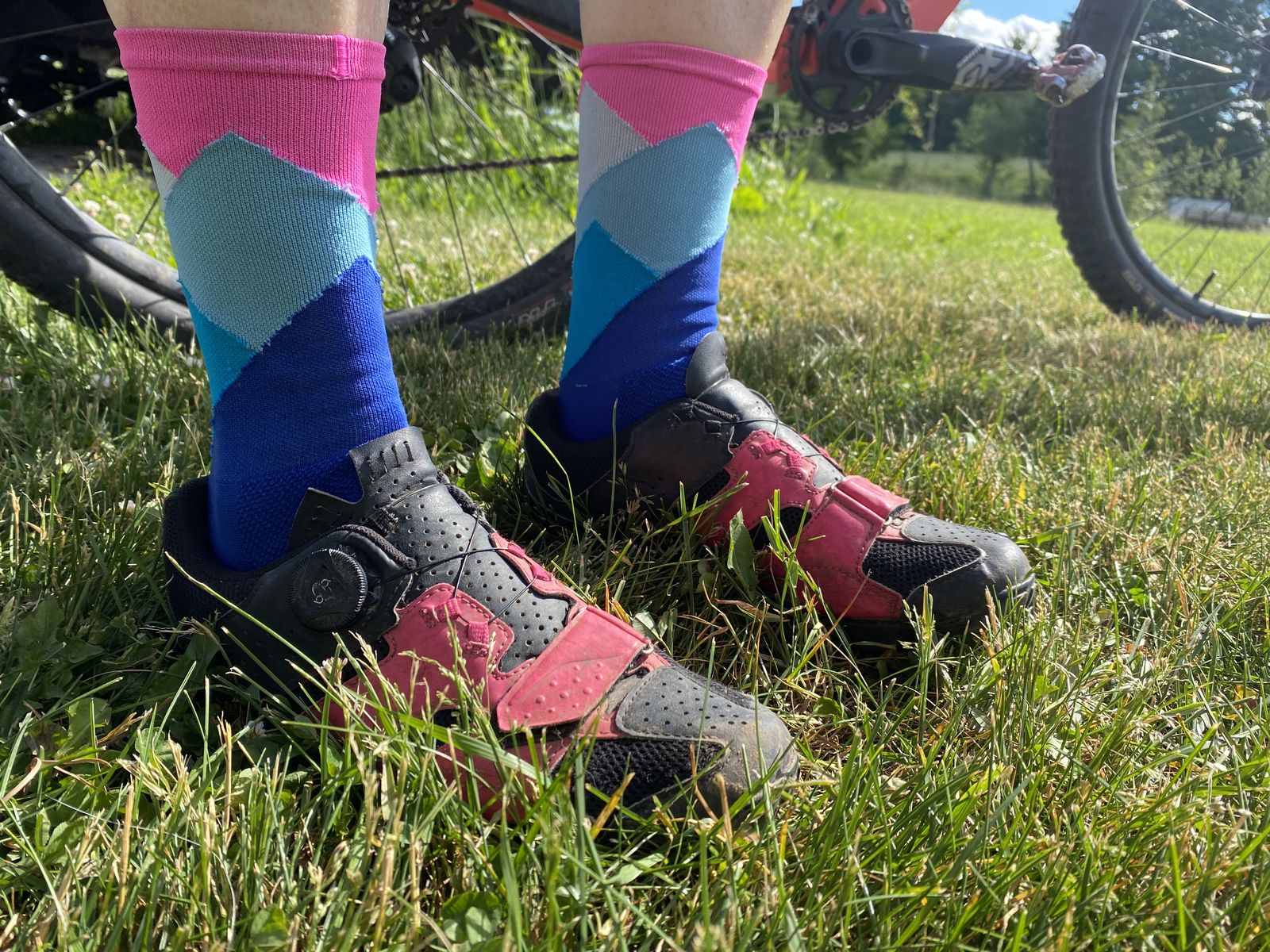 Best Mountain Bike Shoes in 2021 A Buyer's Guide for Every Type of