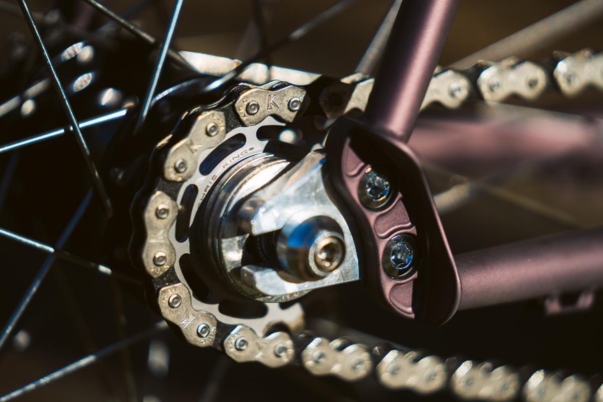 Pine Cycles Rasa fixed or single speed
