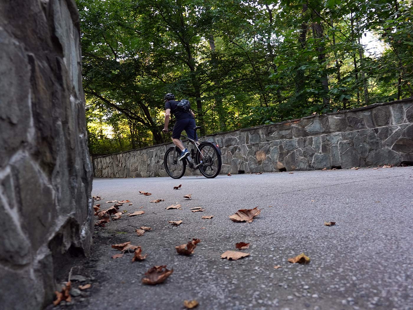 Review: Trek Allant+ 8S is a sharp 