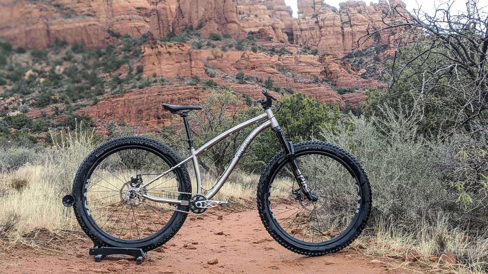 binary-maniak ti hardtail 120mm fork 29" x 3" tire clearance