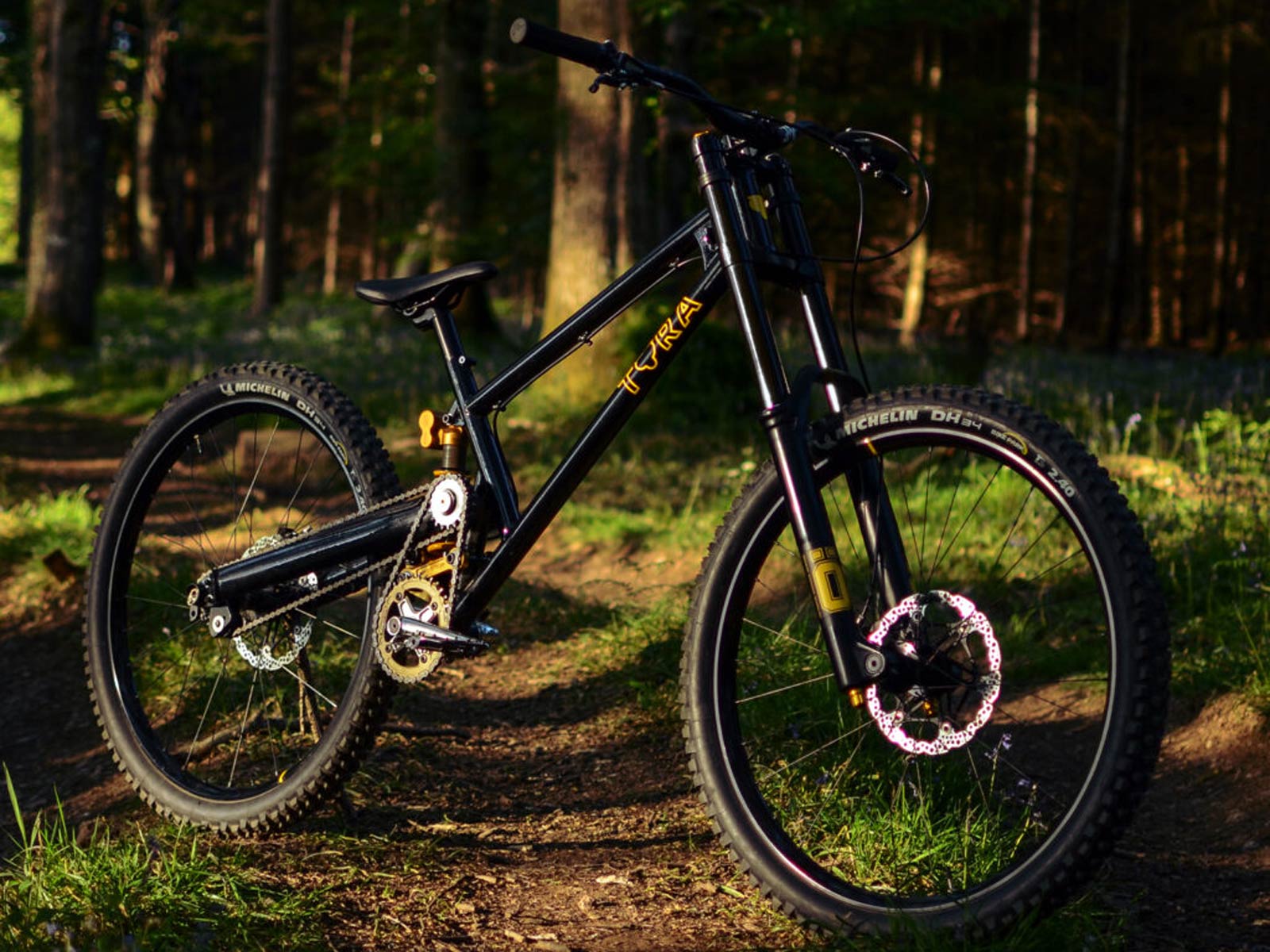 Tora Cycles EVH High-Pivot Park Bike 