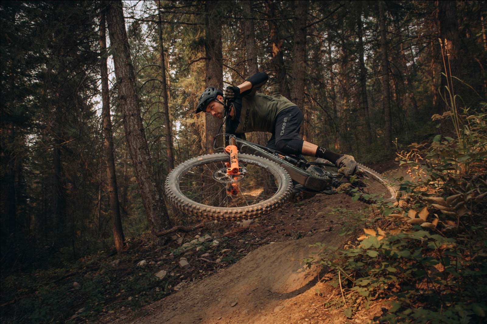 Rocky Mountain MX Mount mullets the 