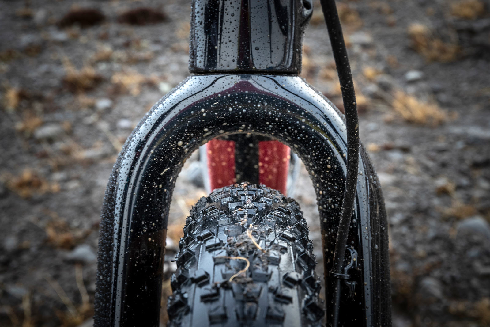 All-new Lauf Seigla gravel bike 