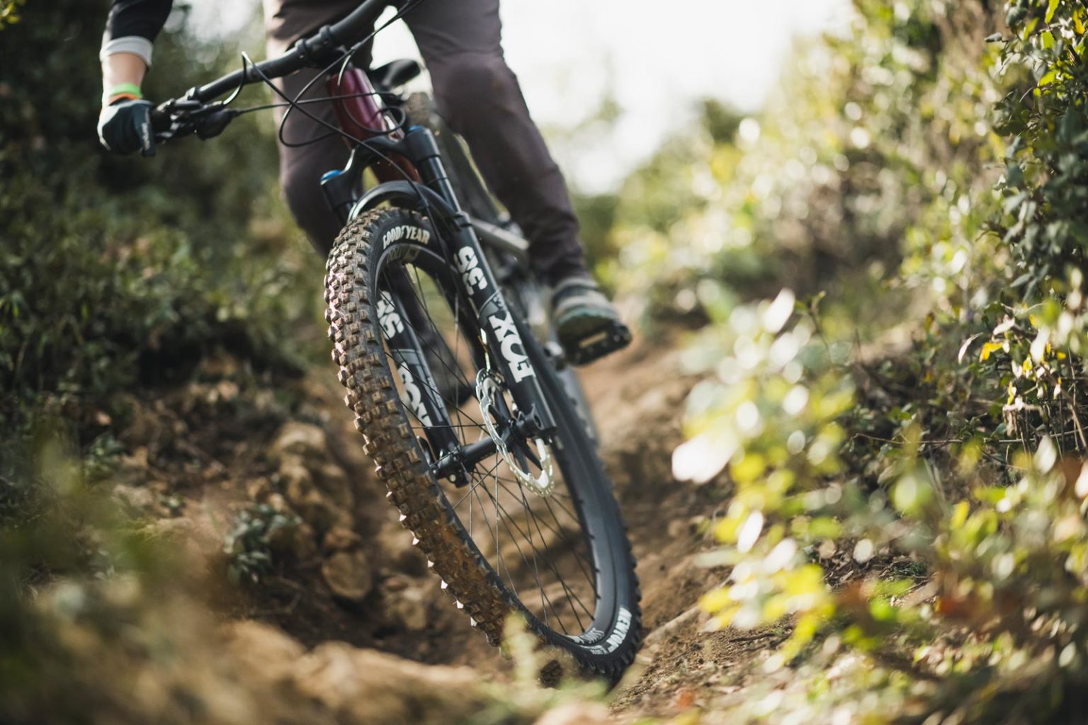 Review Goodyear Newton MTF & MTR Front & Rear Specific MTB Tires