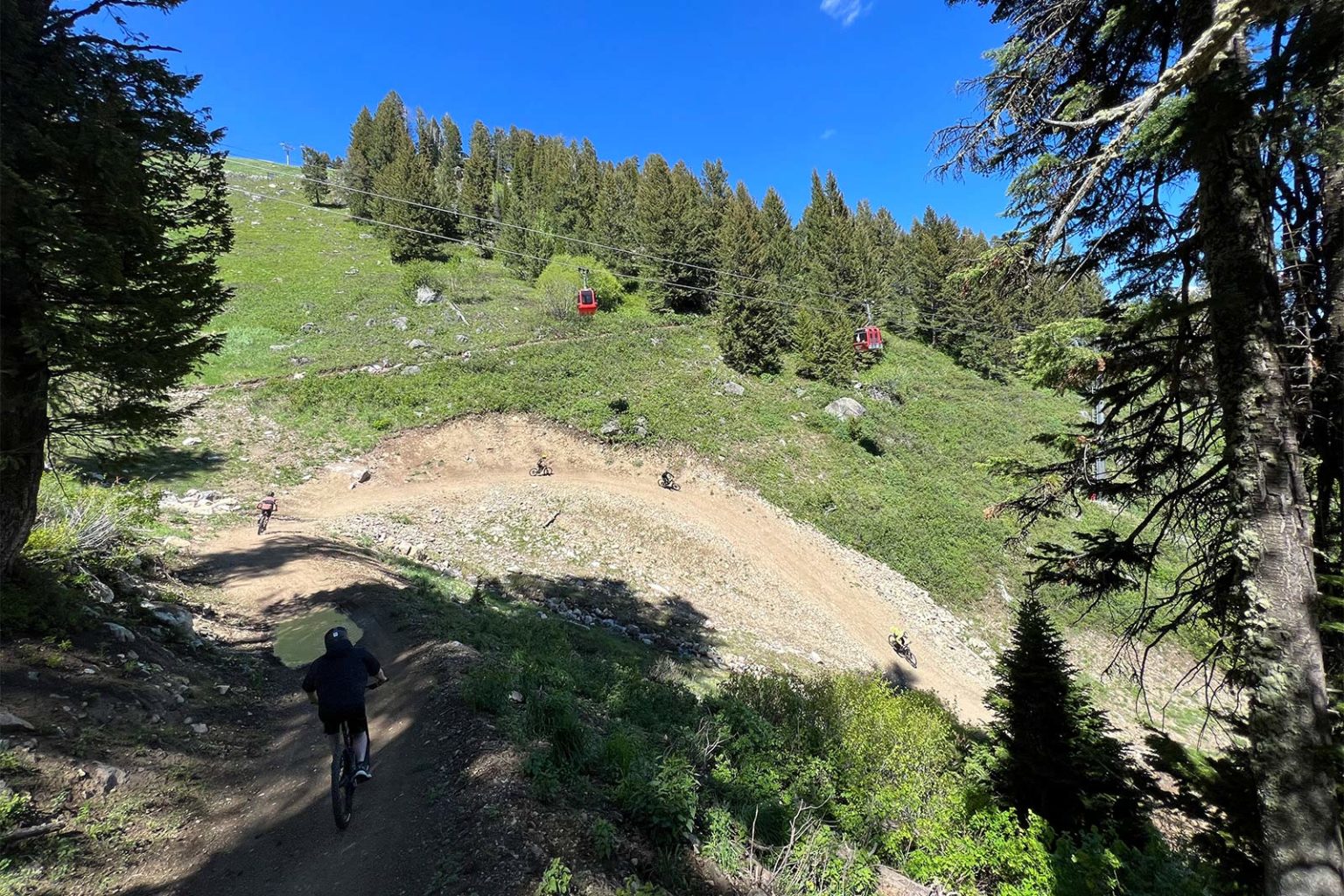 Where to Ride Jackson Hole Mountain Resort's Bike Park gives "all