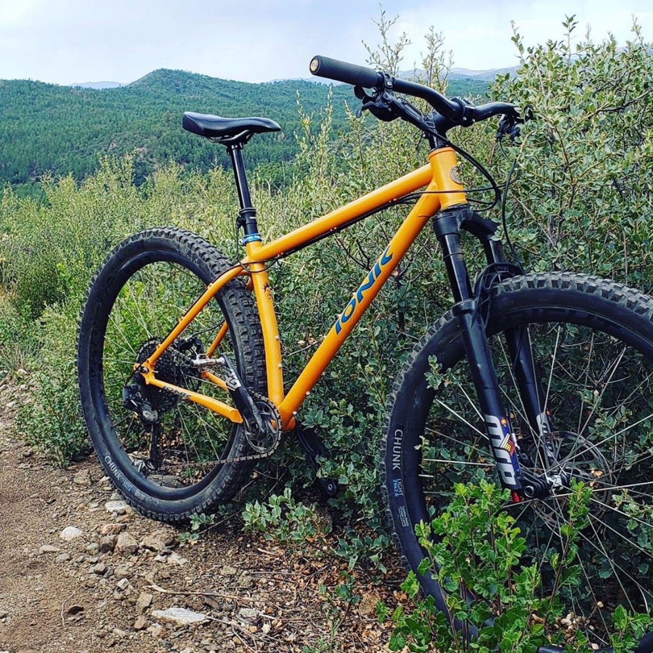 Jonny Rotten Hardtail front facing