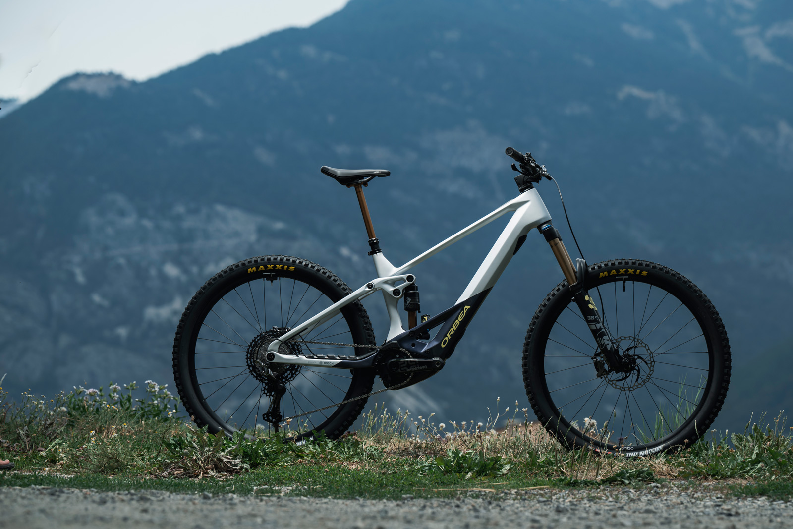 2023 orbea wild m ltd