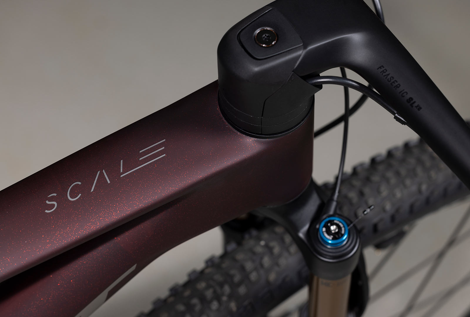 closeup details on 2023 scott scale