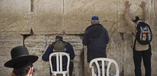 Man at the Wall