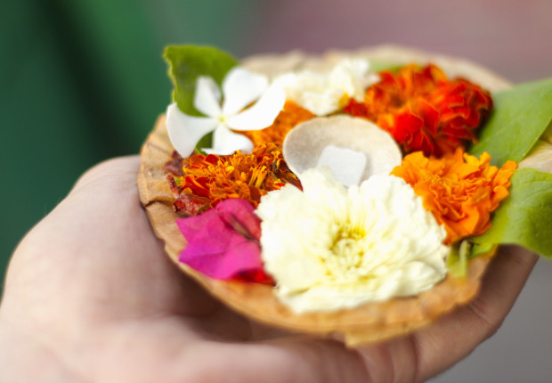 A diya made of dried leaves and flowers is used as an offering during the sunset aarti. Photo by Sam Steinberger.