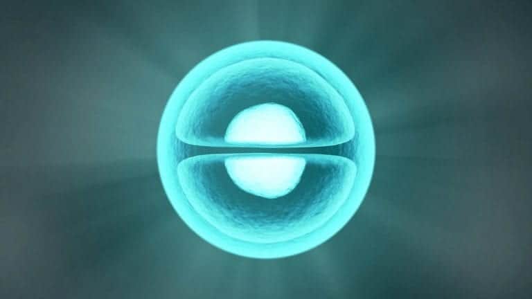 Treatment for melanoma skin cancer aims to kill malignant cells while preserving normal cells.