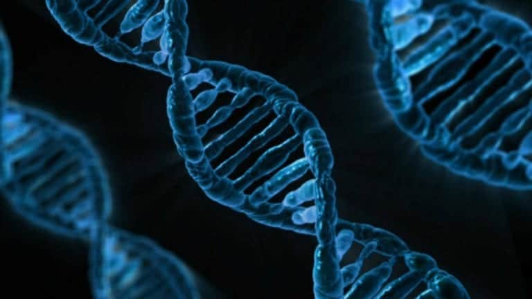 Skin cancer treatment addresses malignant cells developed from genetic mutations in DNA code.