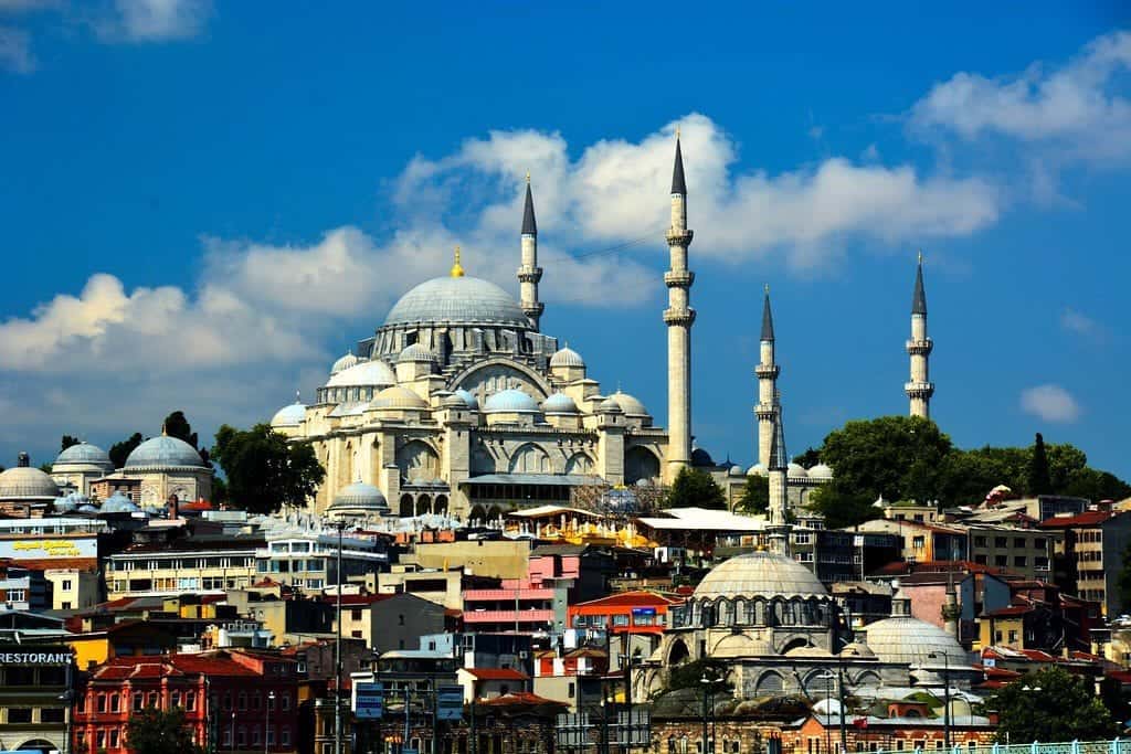 The ISHRS live-training workshop during the month of April 2019 was held in Istanbul, Turkey*