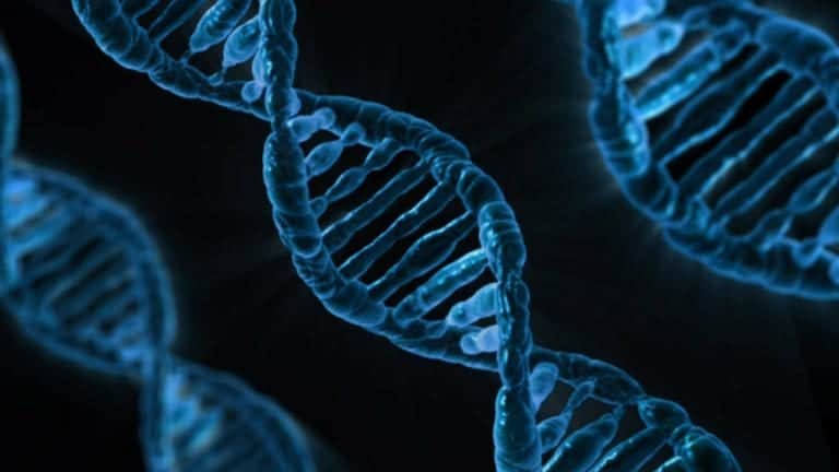 Genetics and hair loss may be influenced by environmental factors to a greater extent than previously thought as suggested by studies on identical twins and hair loss. 