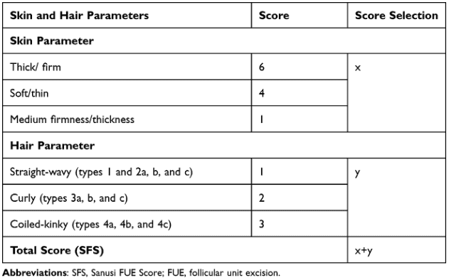 SFS Scores assigned to different skin and hair parameters* SFS Scores assigned to different skin and hair parameters