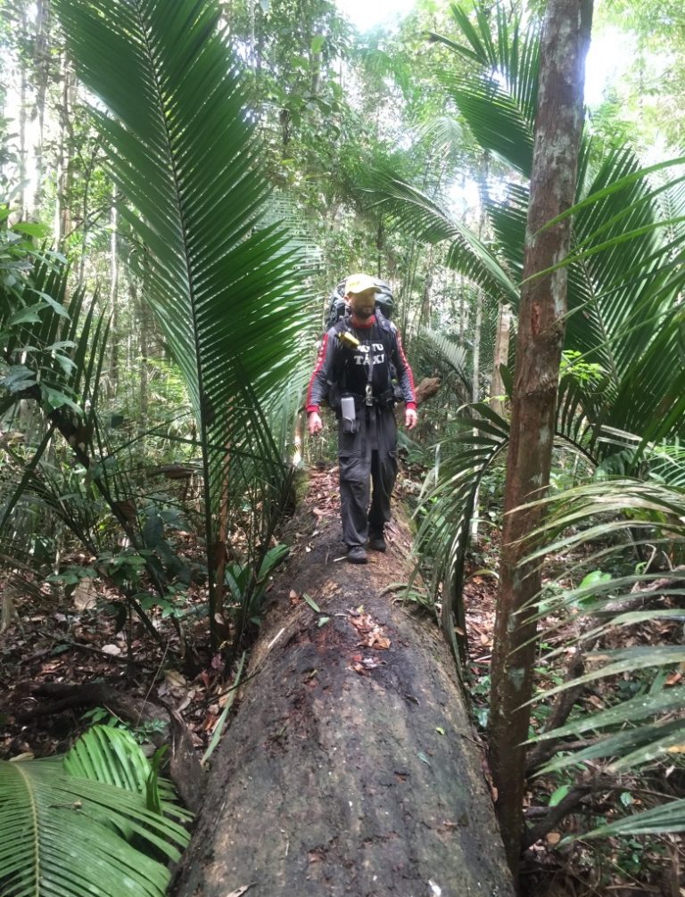 Ascent of the Amazon Atlantic to Manaus almost DONE!!! » Explorersweb